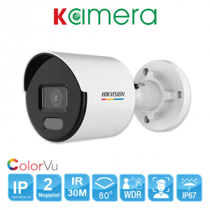 CAMERA IP HIKVISION DS-2CD1027G2-L